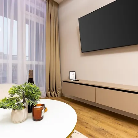 A2 1 Bedroom Modern